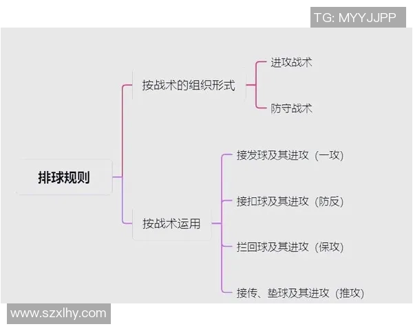杭州排球队整体压制战术解析与排球热点深度剖析